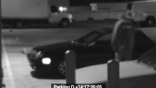 Prick bitch sucks off security attendant